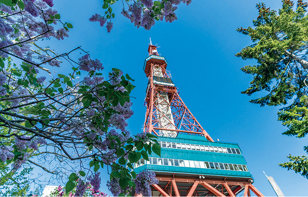 大通公園